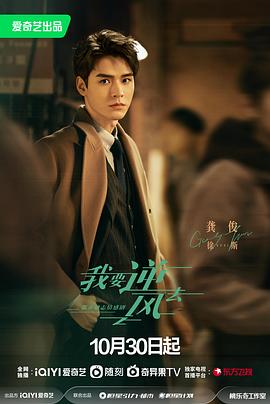 古冶seo优化自然搜索排名